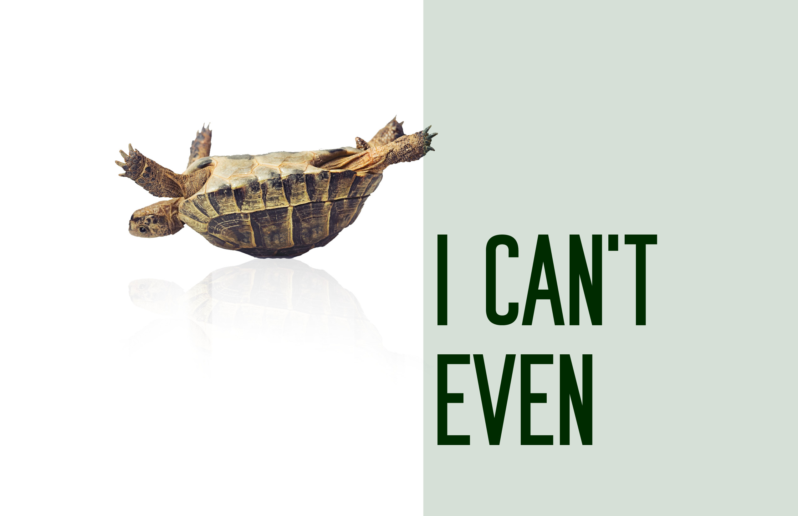 I Can’t Understand