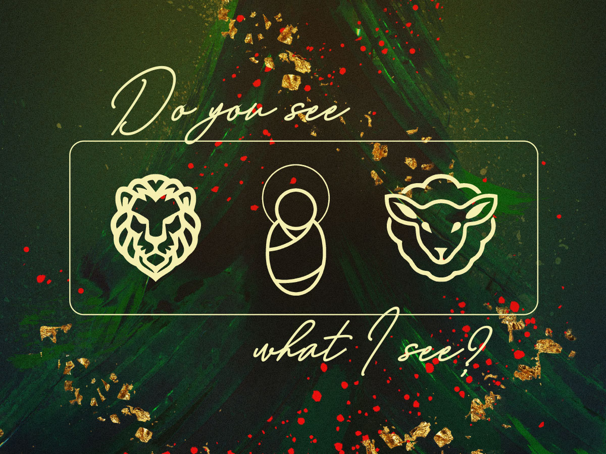 Do You See What I See?